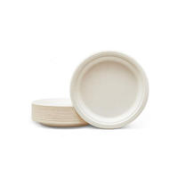 Biodegradable Bagasse Pulp Plate Eco Friendly Disposable Plates